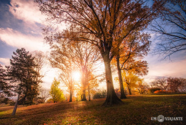 Fotos do Central Park no outono vão fazer você se apaixonar