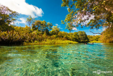 Como é a Flutuação no Rio Sucuri, em Bonito