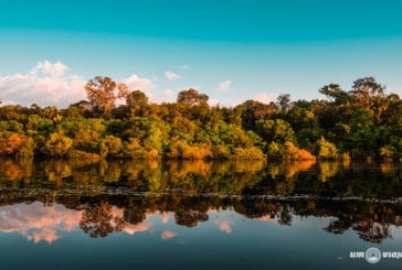 Roteiro Amazônia: minha primeira viagem para a Floresta Amazônica