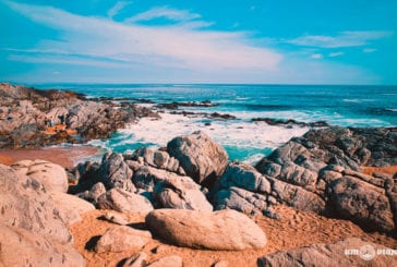 Passeio saindo de Santiago: Vinícola Matetic + Isla Negra